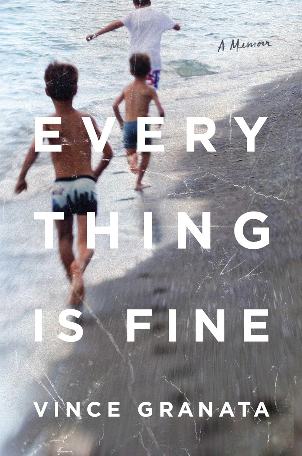 Everything Is Fine: A Memoir | Vince Granata