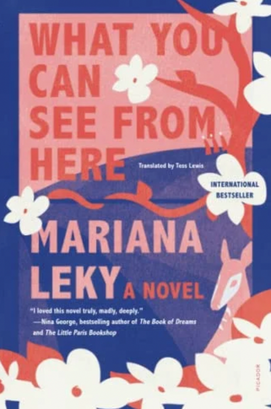 WHAT YOU CAN SEE FROM HERE | Leky, Mariana